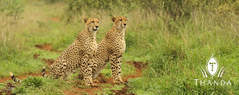 20121008 - CS3_0356 - E - SIG