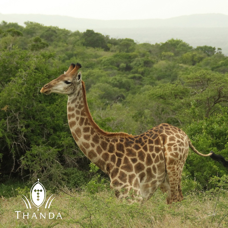 20121010 - CS3_0635 - E - SIG