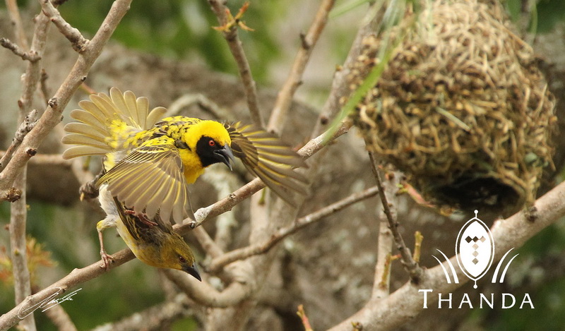 20121102 - CS3_0252 - E - SIG