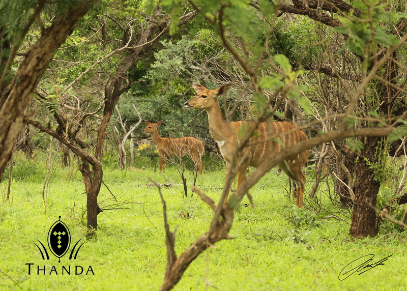 20121106 - CS3_0978 - E - SIG