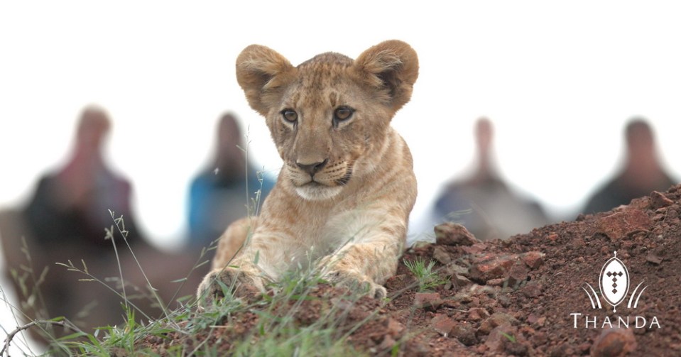 20121128 - CS1_9259 - E - SIG