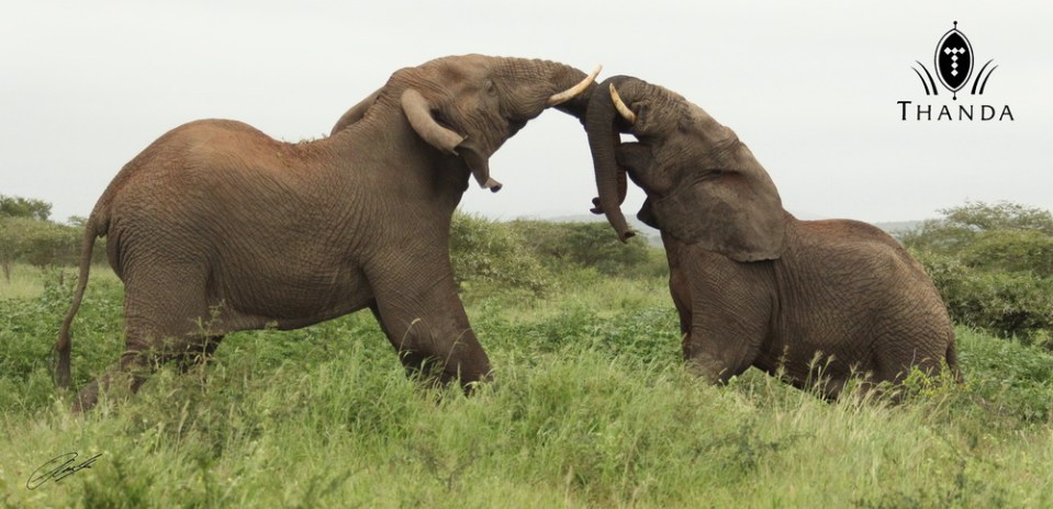 20121119 - CS2_0636 - E