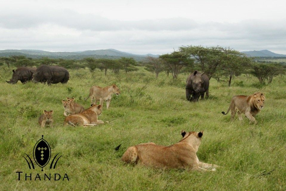 20121130 - CS2_1651 - E - SIG