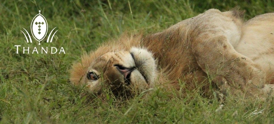 20121130 - CS2_1750 - E - SIG