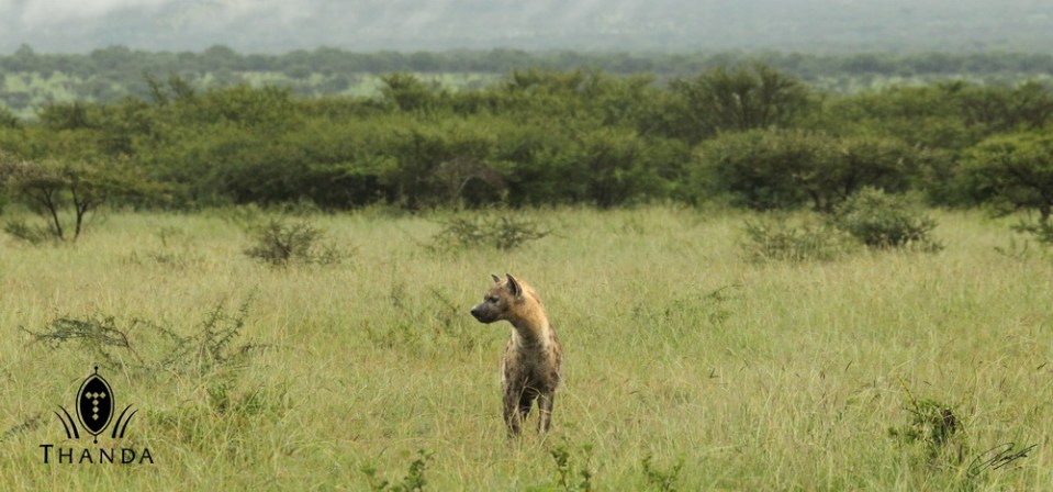 20121201 - CS2_1847 - E - SIG