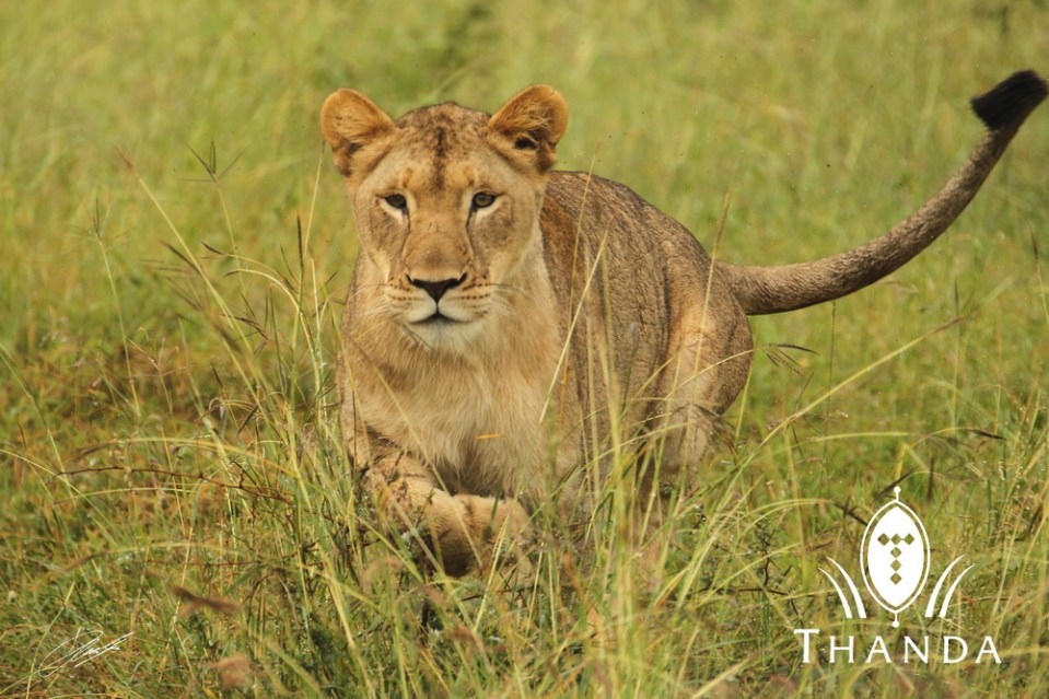 20121201 - CS2_1875 - E - SIG