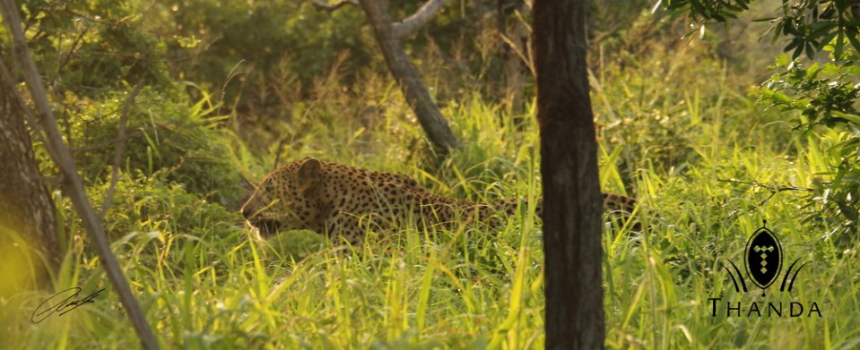 20121204 - CS2_2527 - E - SIG