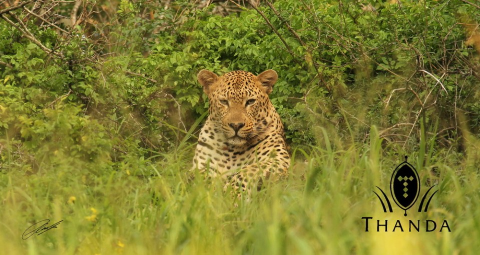 20121204 - CS2_2559 - E - SIG