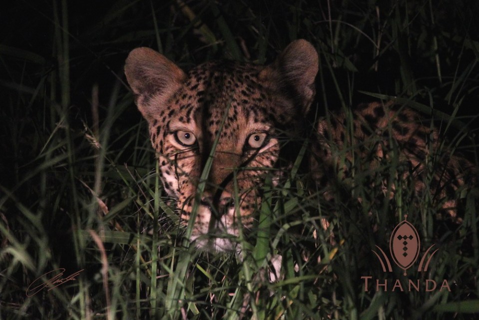 20121216 - CS2_3216 - E 1 - SIG - 150