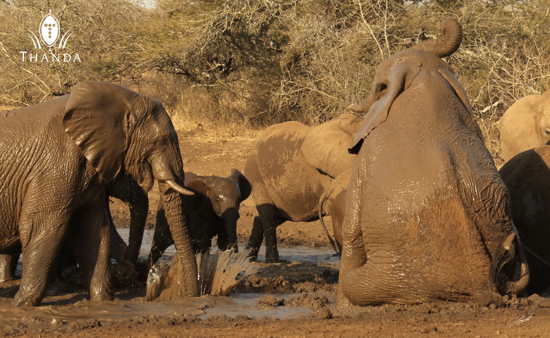 20120814 - CS1_4585 -  E - SIG