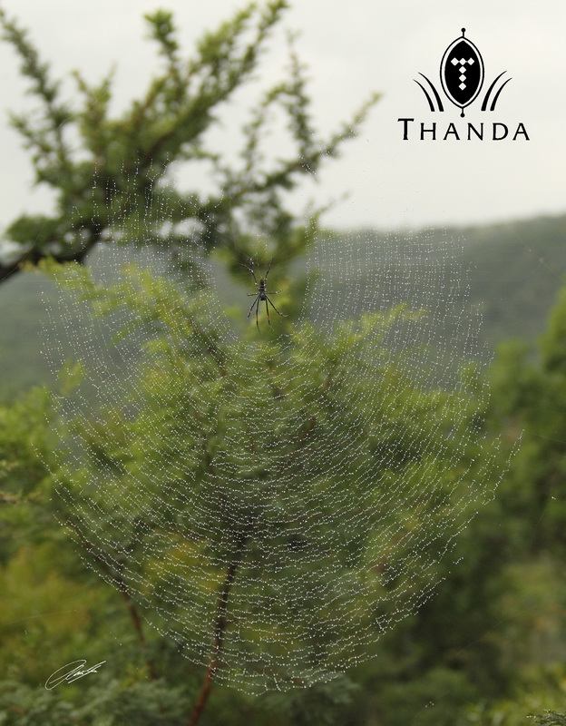 20121223 - CS2_4640 - E - SIG