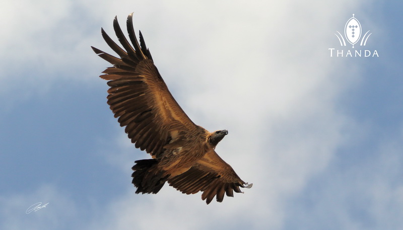 20121223 - CS2_4711 - E - SIG