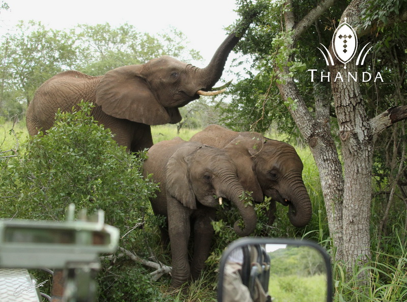 20130104 - CS2_6633 - E - SIG