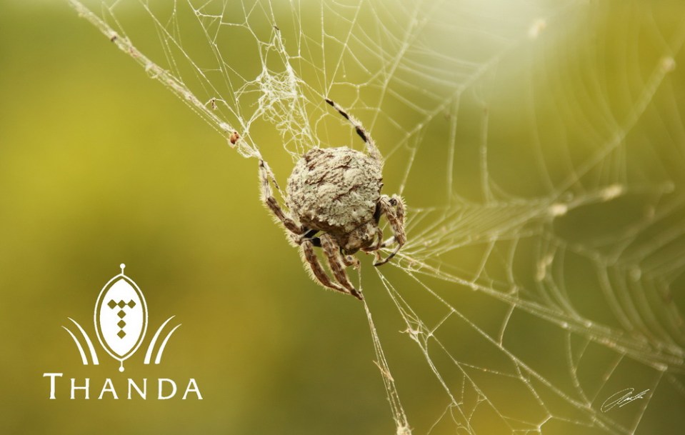 20130118 - CS2_8016 - E - SIG