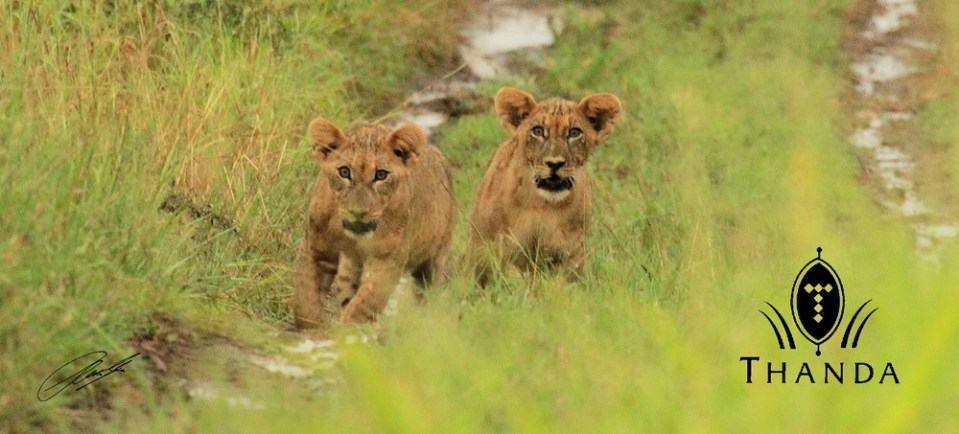 20130118 - CS2_8051 - E - SIG