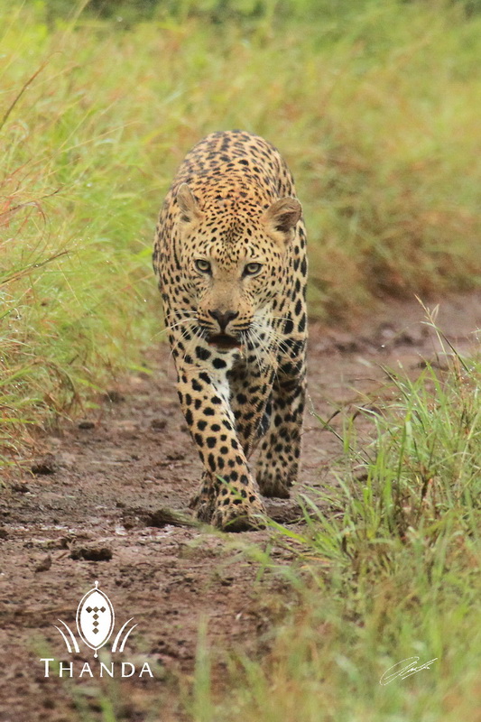 20130121 - CS2_8338 - E - SIG