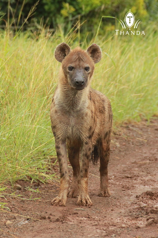 20130121 - CS2_8380 - E - SIG