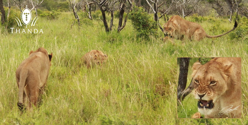 20130126 - Collage 1724 - E - SIG