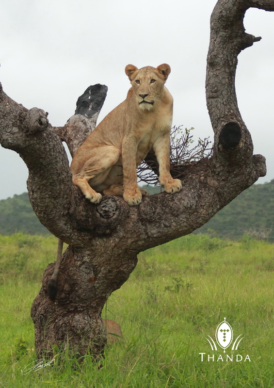 20130126 - CS2_9518 - E - SIG