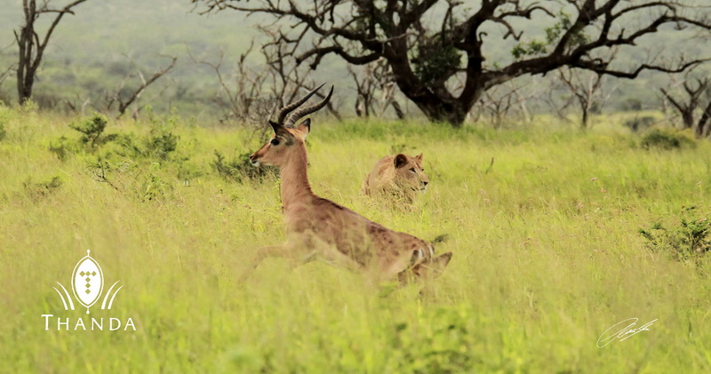 20130126 - CS2_9743 - E - SIG