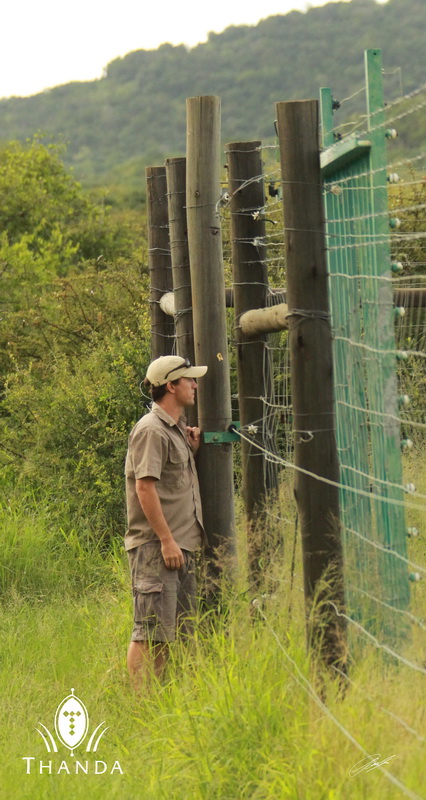 20130128 - CS2_9846 - E - SIG