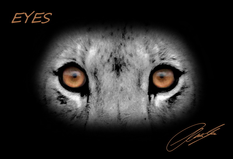 20130130 - CS2_0481 - E3