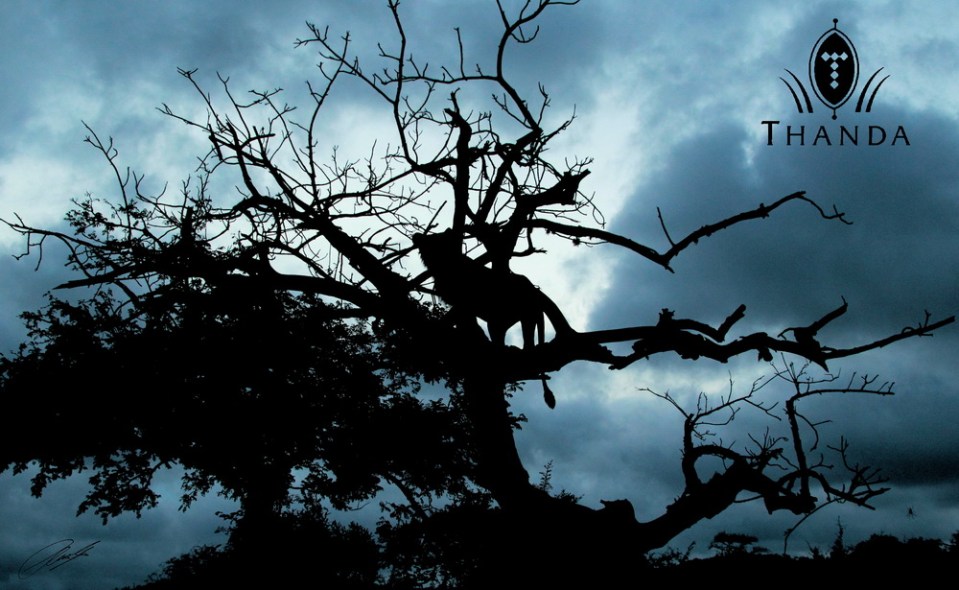 20130210 - CS2_1381 - E - SIG