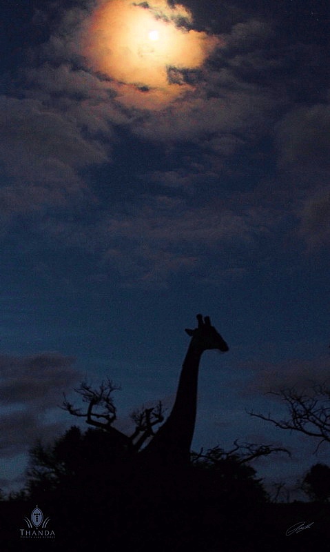 20130217 - CS2_2450 - E - SIG