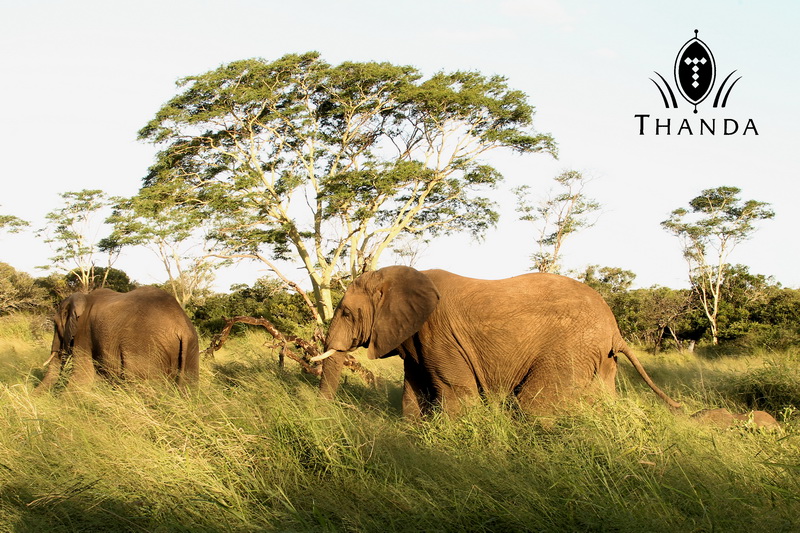 20130221 - CS2_2943 - E - SIG