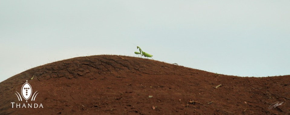 20130224 - CS2_3473 - E - SIG