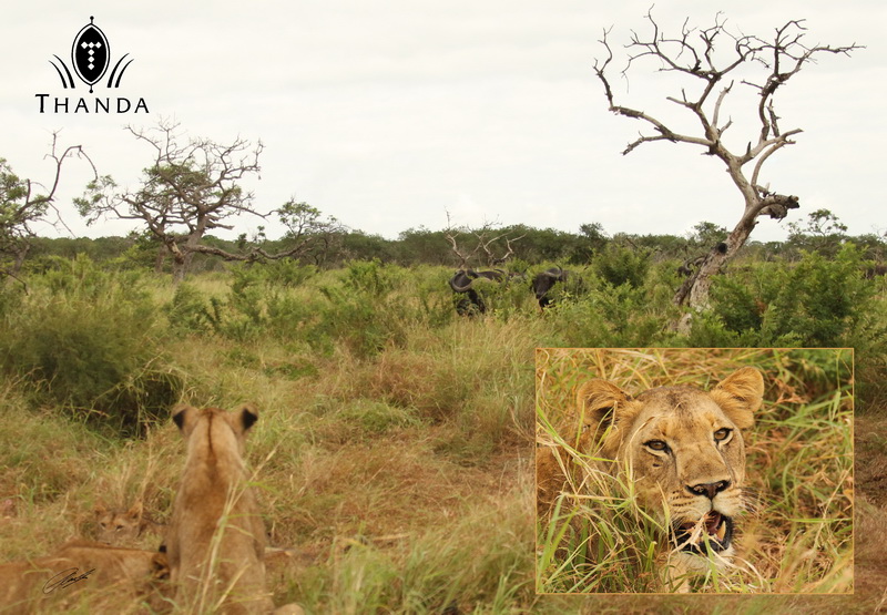 20130304 - Collage 1311