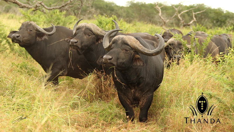 20130304 - CS2_5591 - E - SIG