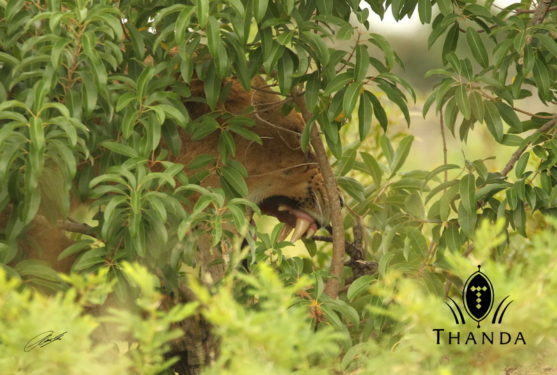 20130304 - CS2_5606 - E - SIG