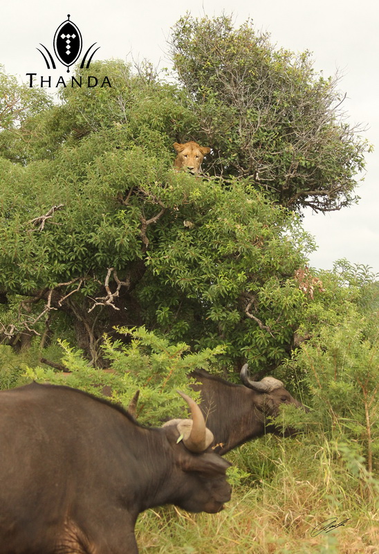 20130304 - CS2_5718 - E - SIG