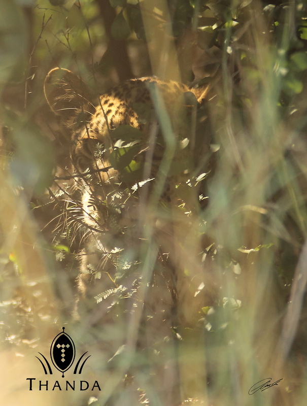 20130305 - CS2_5994 - E - SIG