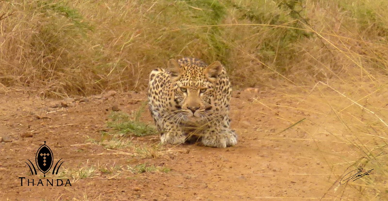 20130325 - P1020621 - E - SIG