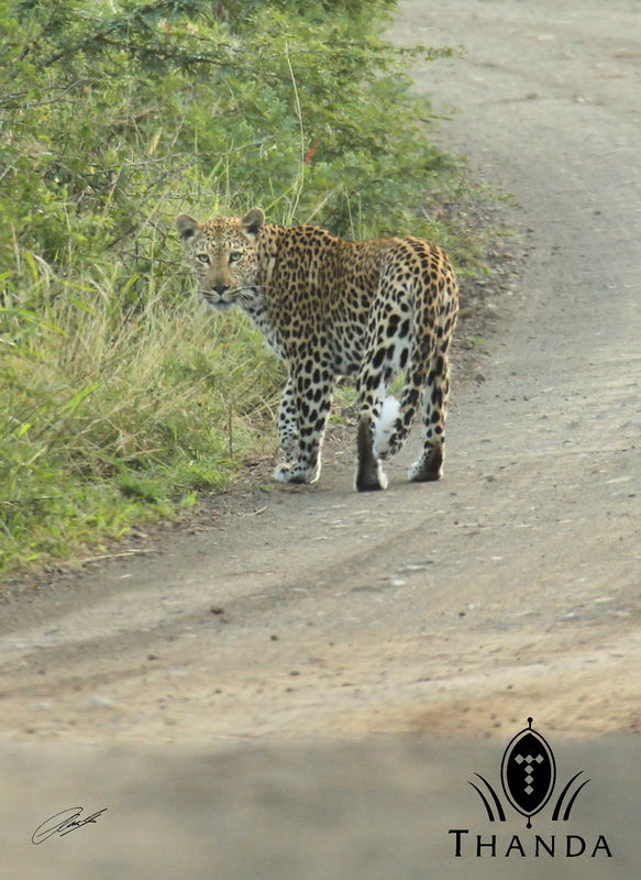 20130330 - CS2_8162 - E - SIG