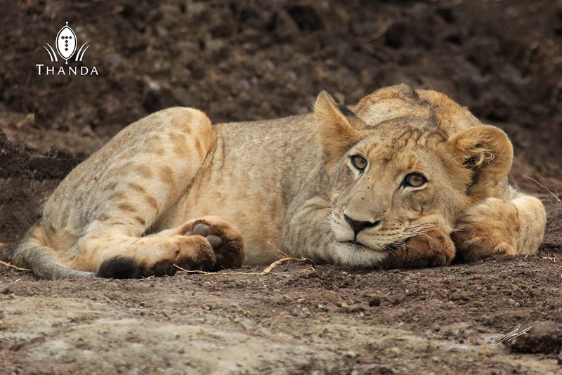 20130329 - CS2_8050 - E - SIG