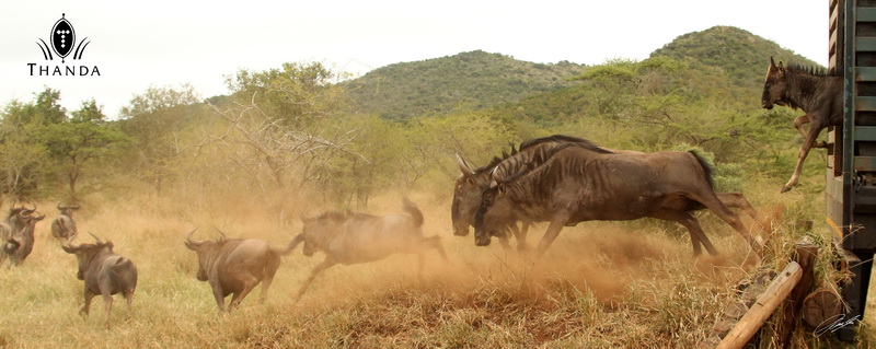 20130411 - CS2_9643 - E - SIG