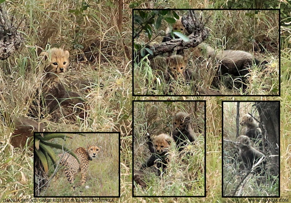 20130418 - Collage 2007 - THANDA