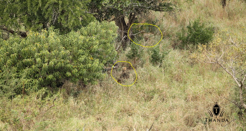 20130418 - CS1_9402 - E - SIG