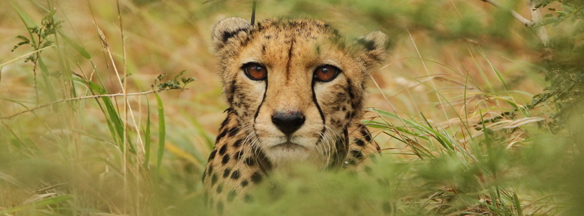 20130419 - CS1_9525 - E