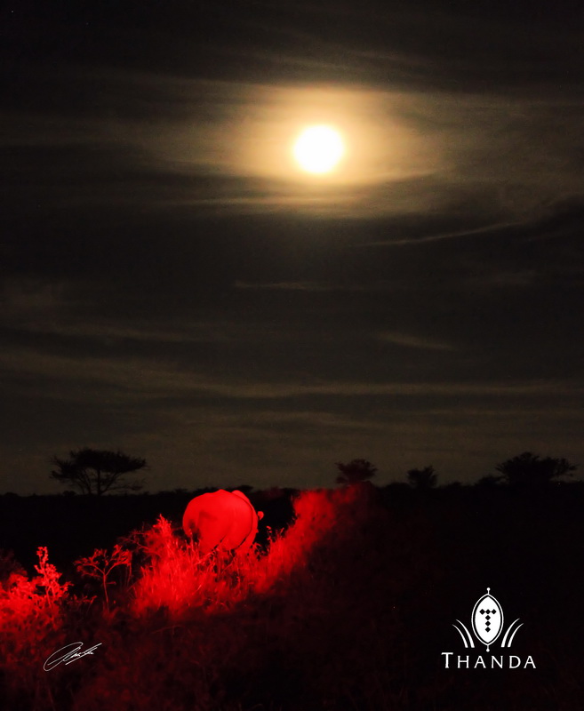 20130425 - CS2_2556 - E - SIG