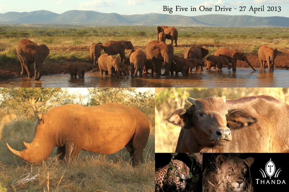 20130427 - Collage Big Five in One Drive 2009 - SIG