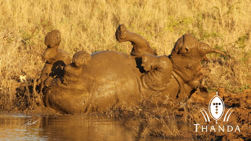 20130427- CS2_2883 - E - SIG