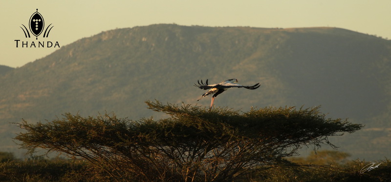 20130427- CS2_2913 - E - SIG