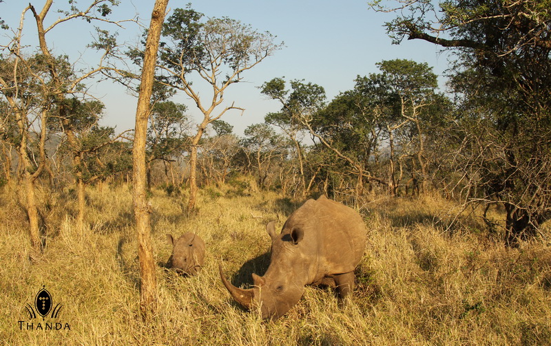 20130516 - CS2_0831 - E - SIG