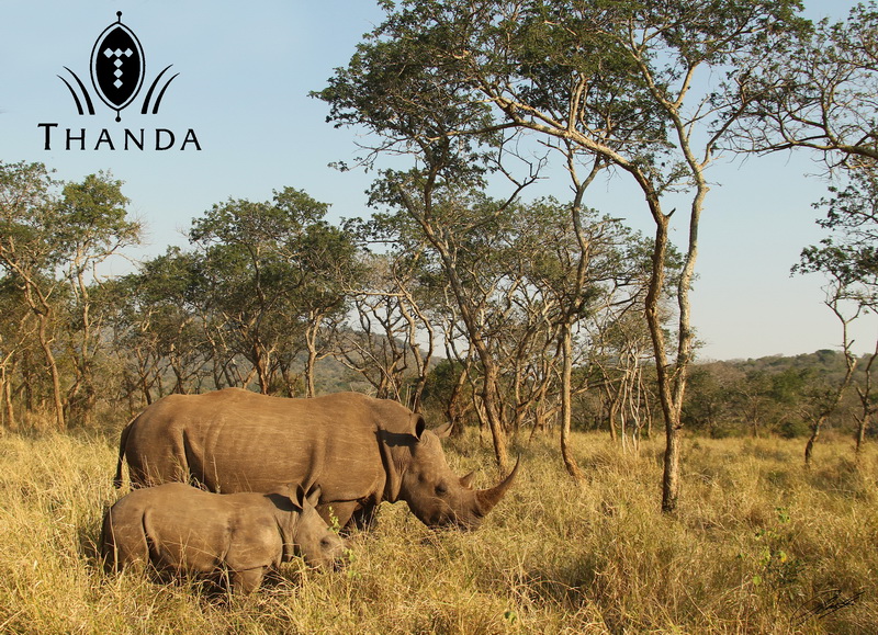 20130516 - CS2_0840 - E - SIG