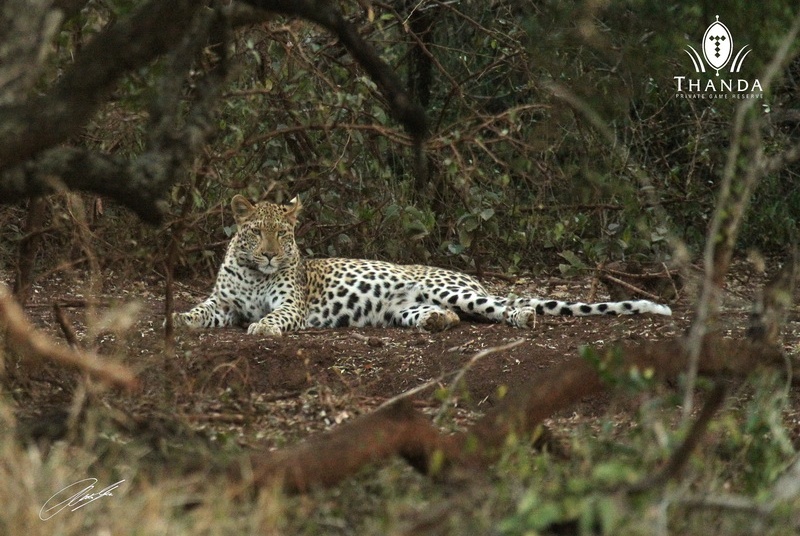 20130613 - CS2_1599 - E - A4 - SIG