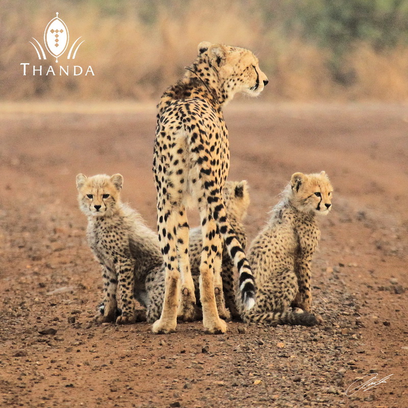 20130623 - CS1_0813 - E - SIG